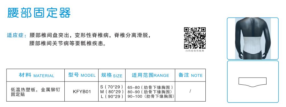 腰部固定器1.jpg